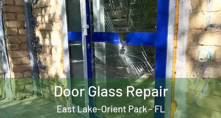  Door Glass Repair East Lake-Orient Park - FL