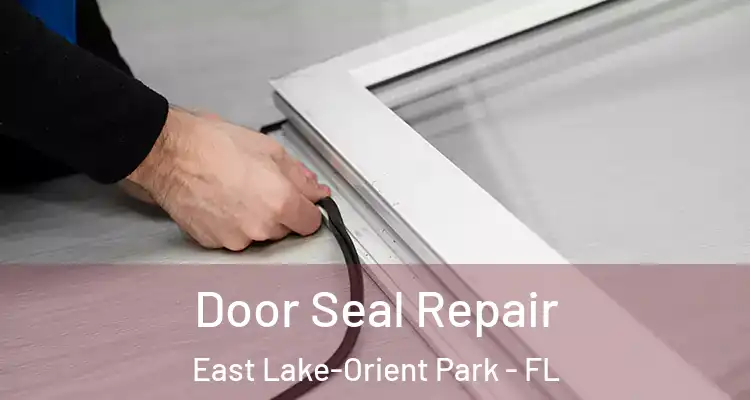  Door Seal Repair East Lake-Orient Park - FL