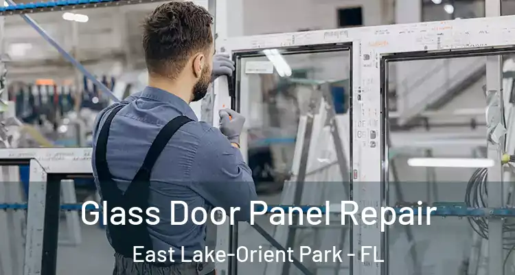  Glass Door Panel Repair East Lake-Orient Park - FL