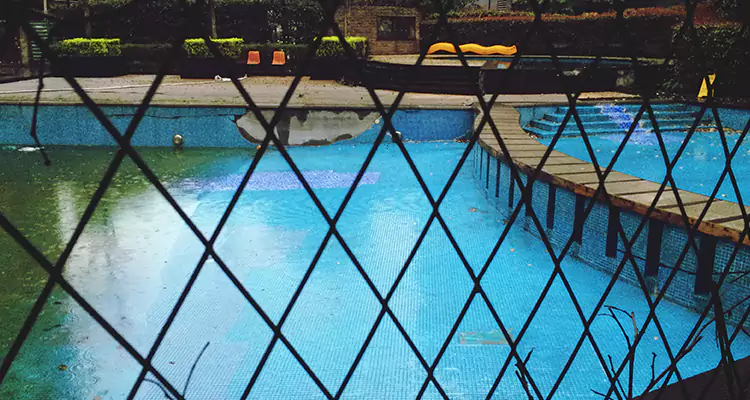 Lanai Screen Repair in East Lake-Orient Park, FL