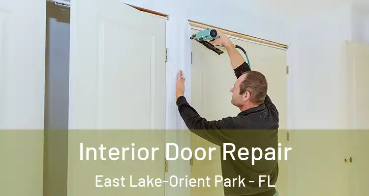  Interior Door Repair East Lake-Orient Park - FL