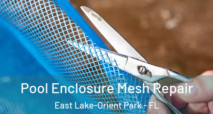  Pool Enclosure Mesh Repair East Lake-Orient Park - FL